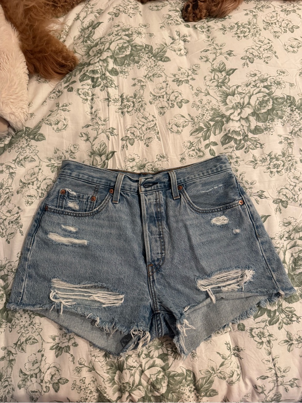 Levi's Light Blue Distressed High-Rise Denim Shorts